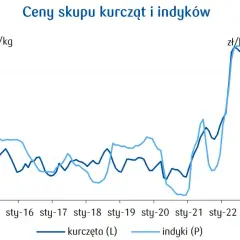 Ceny rolnicze drób: Jak zmiany wpływają na rynek i Twoje zyski