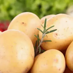 Jakie ziemniaki na kluski śląskie? Wybierz najlepsze odmiany!
