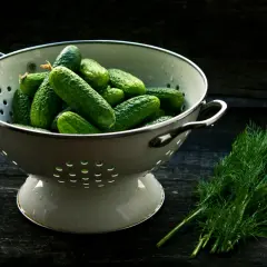 Zupa ogórkowa od którego miesiąca? Bezpieczne wprowadzenie dla niemowląt