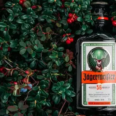 Najlepsze drinki z Jägerem, które musisz spróbować na imprezie