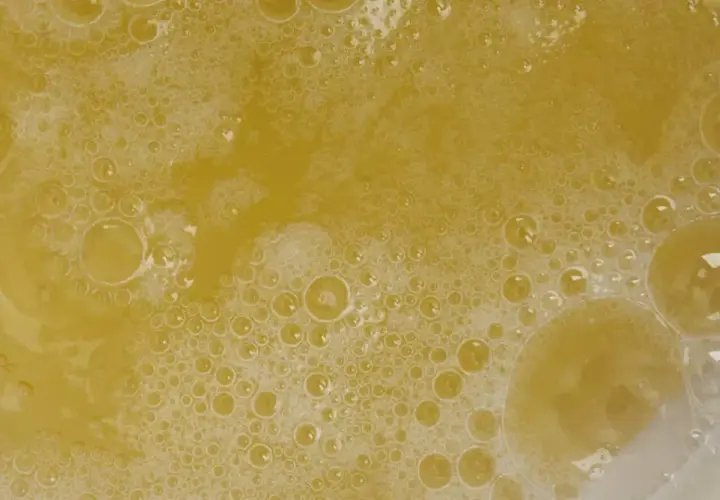 Gdzie kupić białko do drinków? Najlepsze opcje i porady