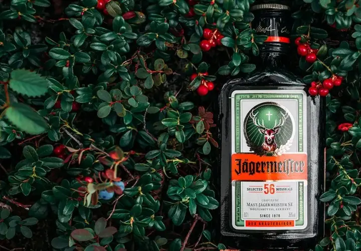 Najlepsze drinki z Jägerem, które musisz spróbować na imprezie