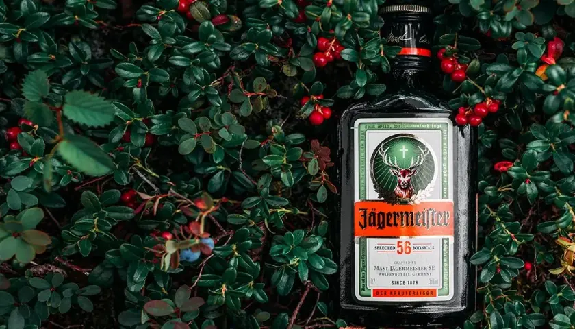 Najlepsze drinki z Jägerem, które musisz spróbować na imprezie