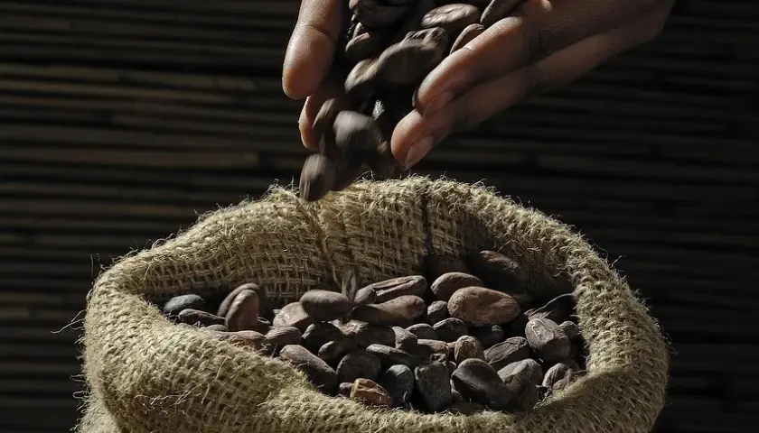Chocolissimo - czekoladowe upominki
