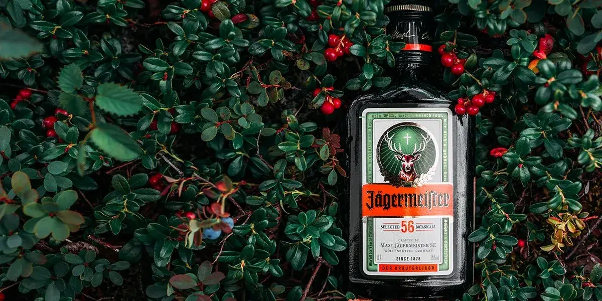 Najlepsze drinki z Jägerem, które musisz spróbować na imprezie